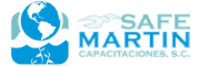 Safe Martin Capacitaciones